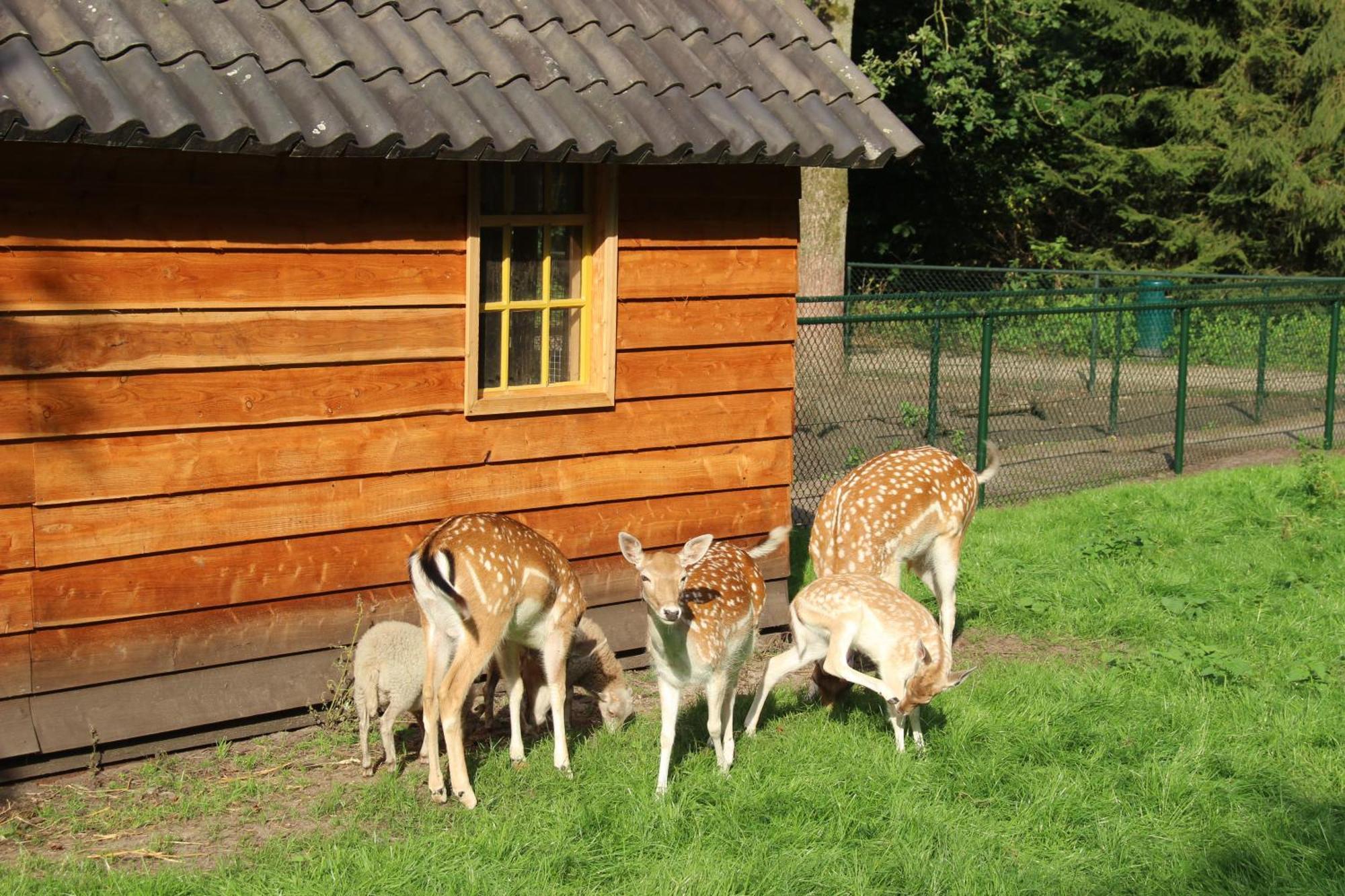 Molecaten Park De Leemkule Hattem Exterior foto