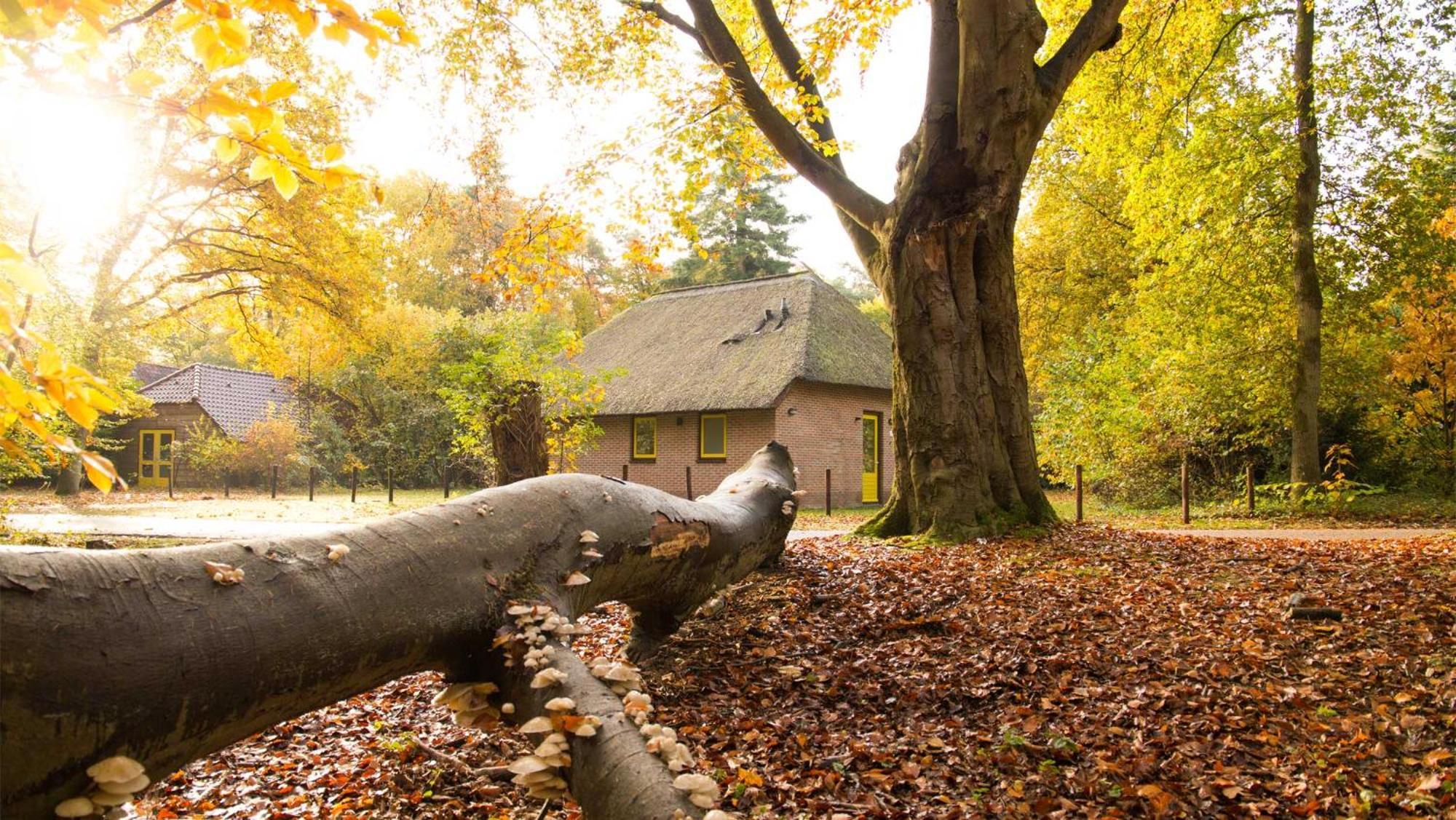 Molecaten Park De Leemkule Hattem Zimmer foto