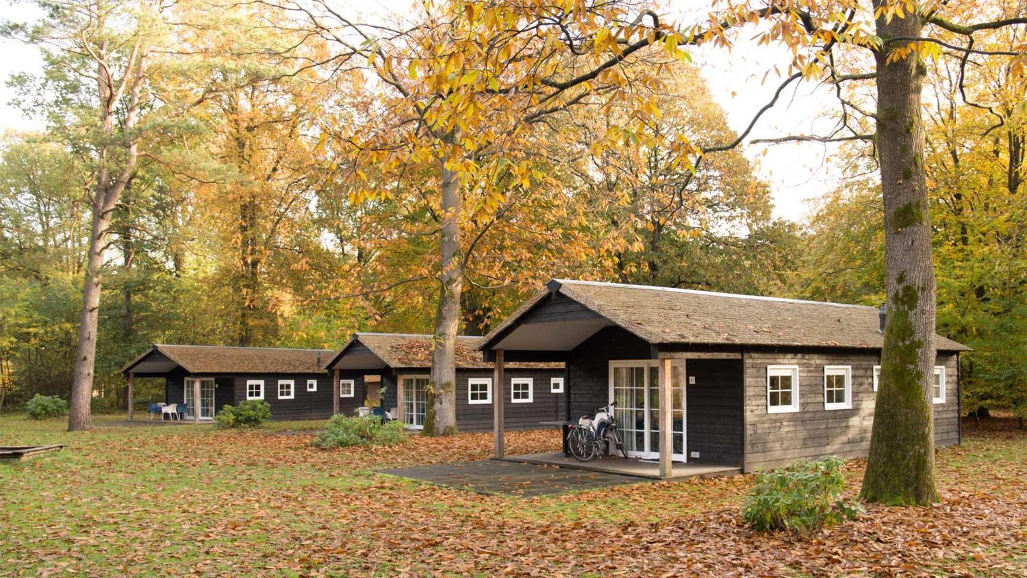 Molecaten Park De Leemkule Hattem Zimmer foto